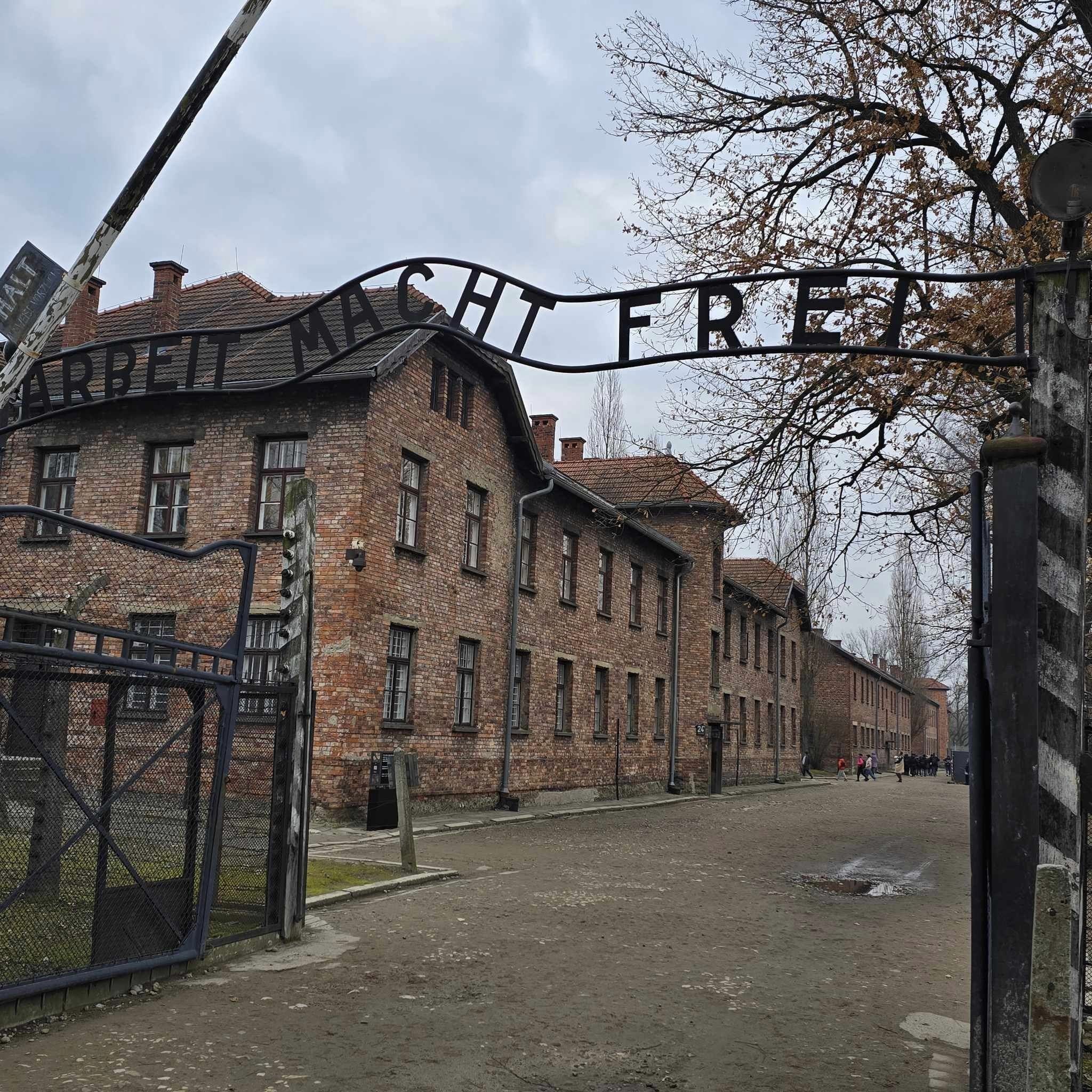 469370133 1035481048590822 6340513069531694019 n